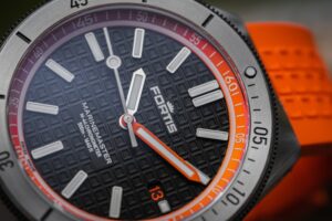 Robustness in Software Engineering Best Practices